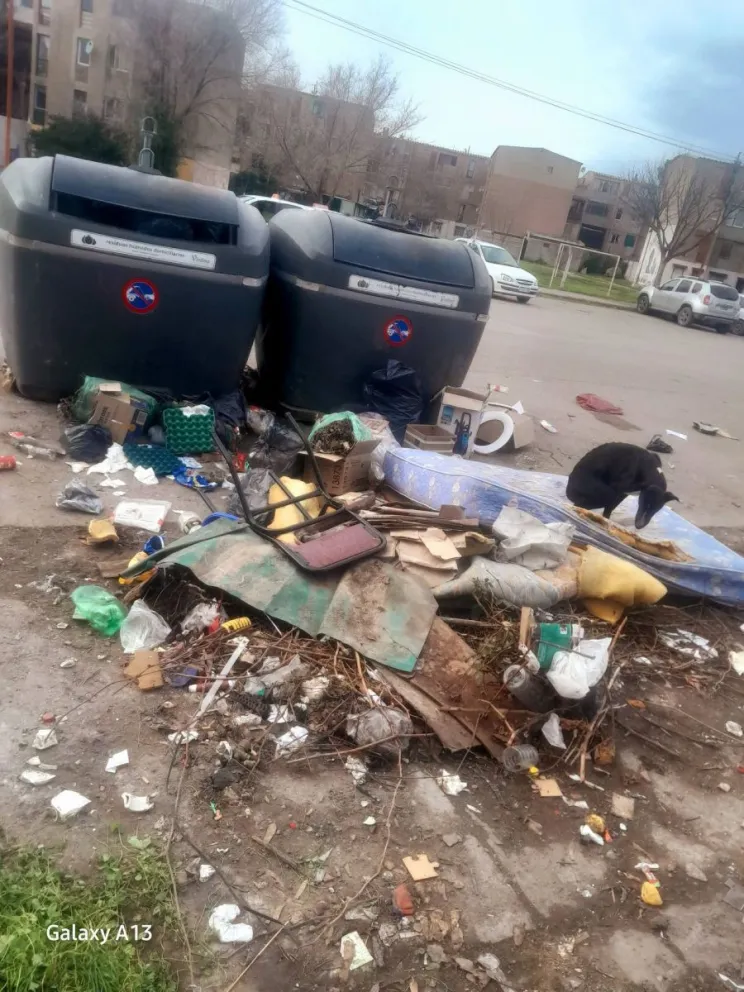Hace cinco días atrás la Municipalidad de Viedma habia trabajado en el barrio profundizando en las tareas de limpieza. Foto: Gentileza.