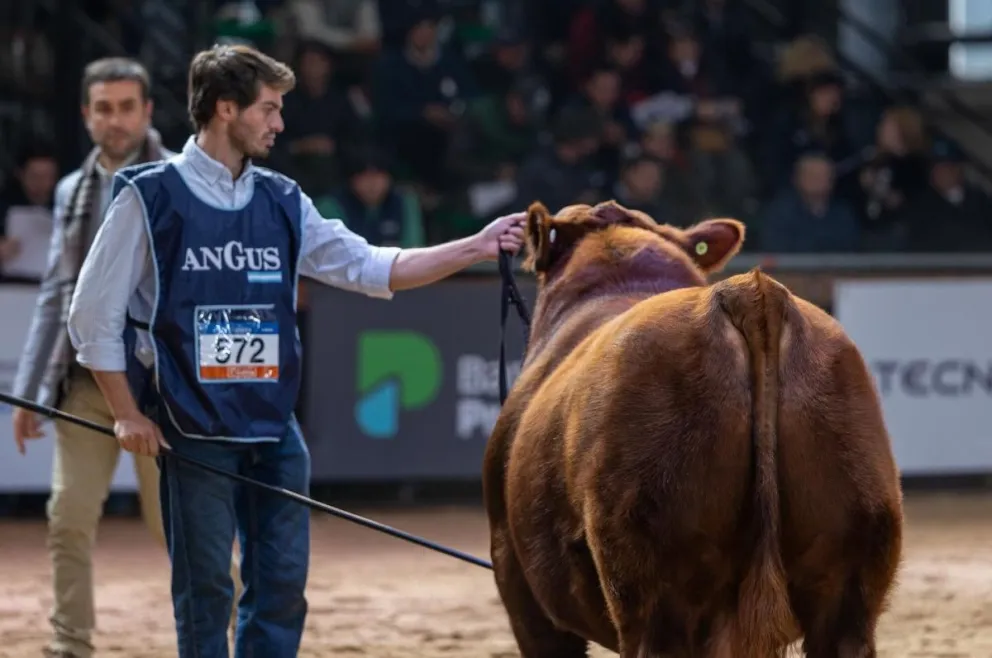 Luciano Correndo, cabañero de Don Fioto, y muchas expectativas en la pista más grande a nivel nacional. Foto Facebook. 