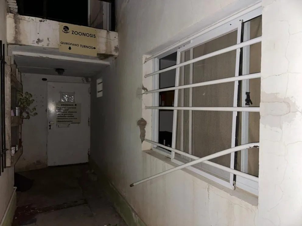 La oficina de Zoonosis de San Antonio Oeste fue atacada durante la madruga. Foto: gentileza 