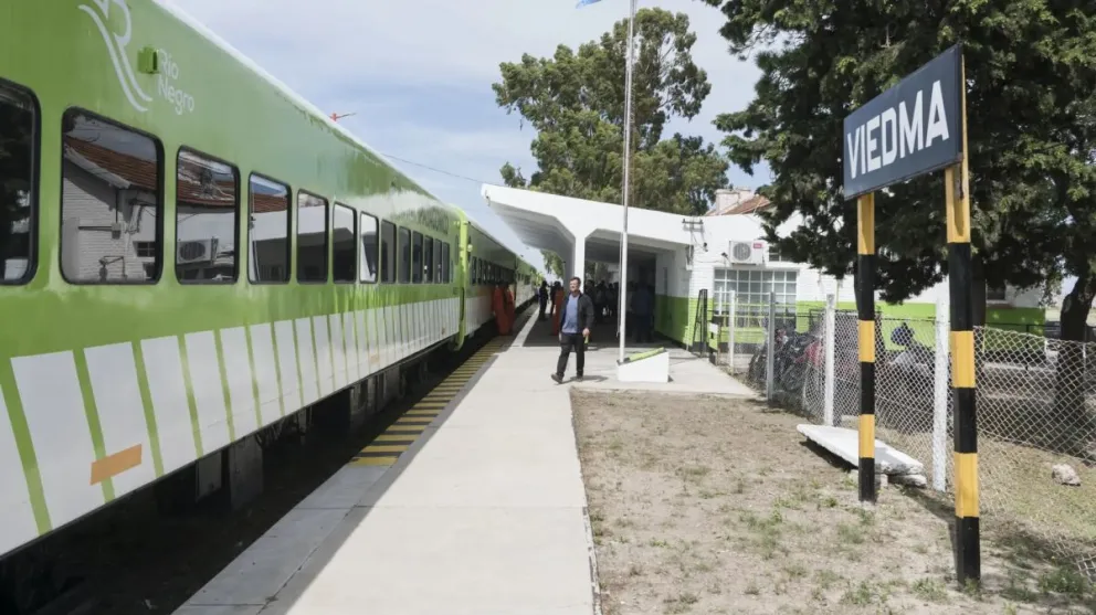Una formación del Tren Patagónico chocó contra bovinos. Crédito: Gobierno de Río Negro.
