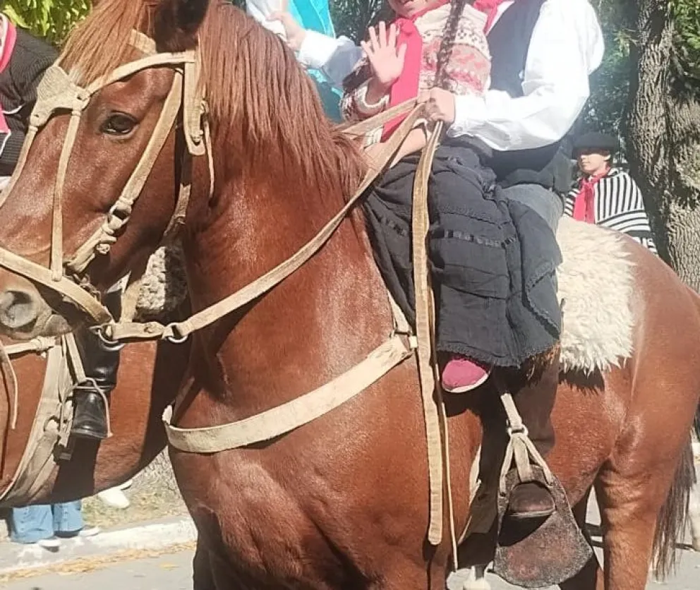El día que desapareció el caballo, una vecina dijo que escuchó un tiro y el motor de un auto en esa zona. Foto: gentileza 
