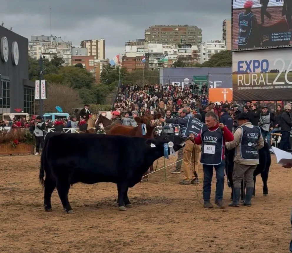 La genética rionegrina se destacó a pleno en la Rural de Palermo. Foto gentileza. 