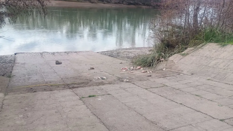 Ubicación donde se produjo el atroz hallazgo de una pareja que paseaba con sus perros. Fotos NoticiasNet. 