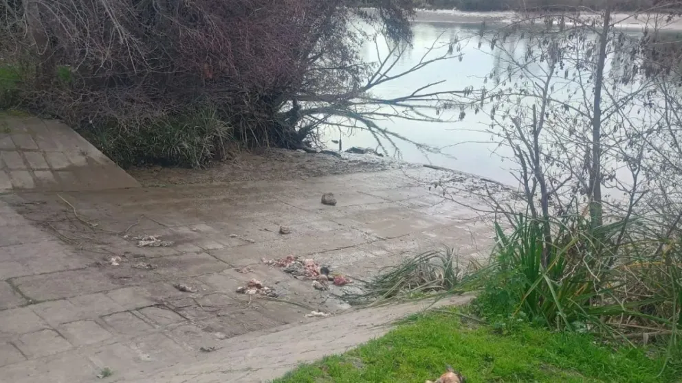 Las autoridades explicaron cómo se ejecutó el retiro del material e indicaron las hipótesis que se manejan respecto al origen del episodio. Foto: NoticiasNet.