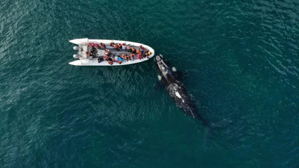 El lanzamiento será el 14 de agosto en el Salón de Eventos del ACA. Participarán los intendentes del Corredor de la Costa de Río Negro. Foto: Gentileza.
