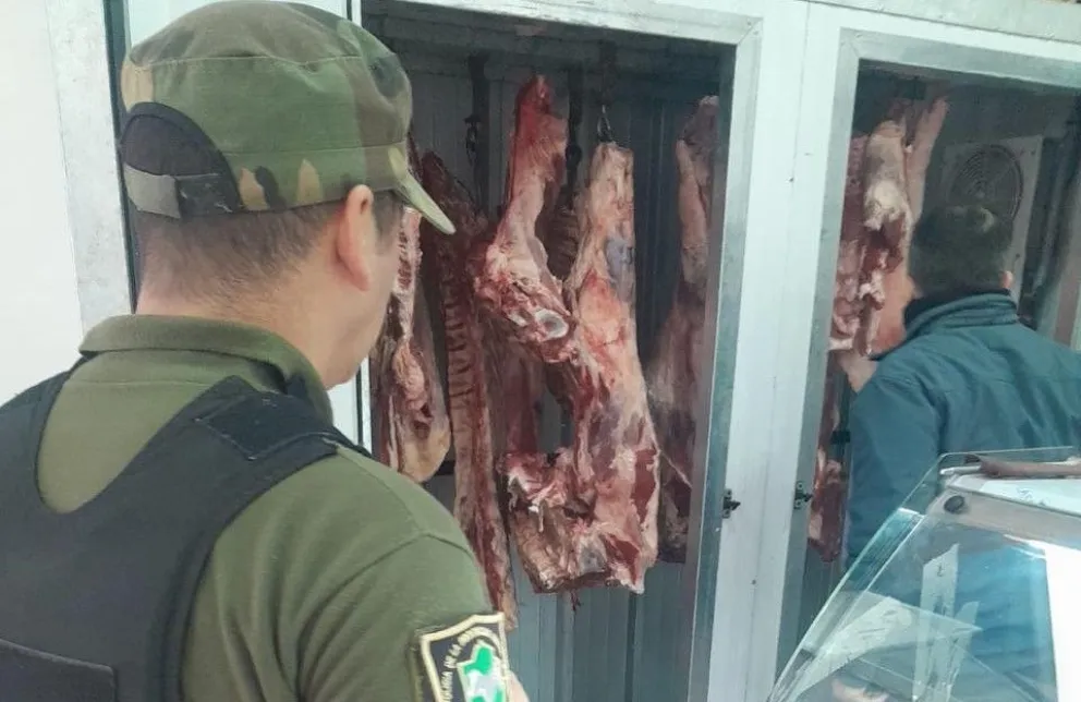Las tareas fueron llevadas a cabo por Bromatología y personal del Comando de Prevención Rural - foto gentileza. 