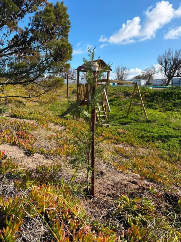 El pronóstico anticipa un incremento de las temperaturas mínimas respecto de los registros de la semana que termina, aunque se mantendrán las condiciones de inestabilidad y viento. Foto: Archivo.