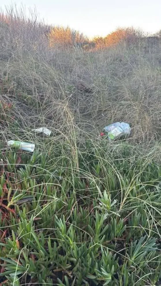 En la zona de médanos, a la altura de la calle 2 y 73, aparecieron indicios de que las reuniones nocturnas serían cotidianas.  Foto: gentileza 
