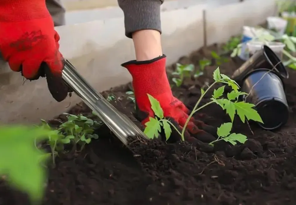 El taller es arancelado y tiene como destinatario a la comunidad educativa, productores, familias y público general interesado en huertas urbanas, compostaje, reciclaje y producción agroecológica. 
