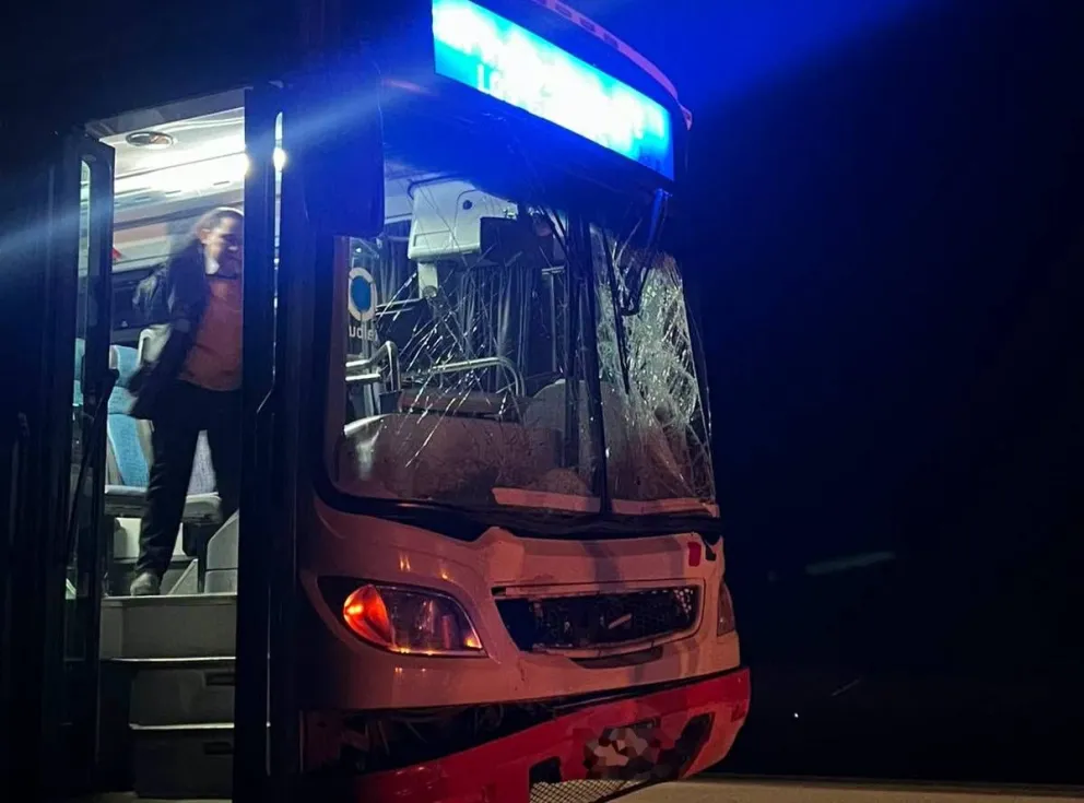 Pudo ser una tragedia: el interno 6 de la empresa Las Grutas impactó de lleno contra el animal. Foto gentileza.