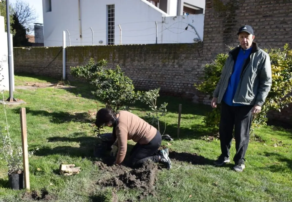 La jornada de plantación permanece abierta, en principio por el área de costanera. Fotos Vanesa Schwemmler para NoticiasNet.