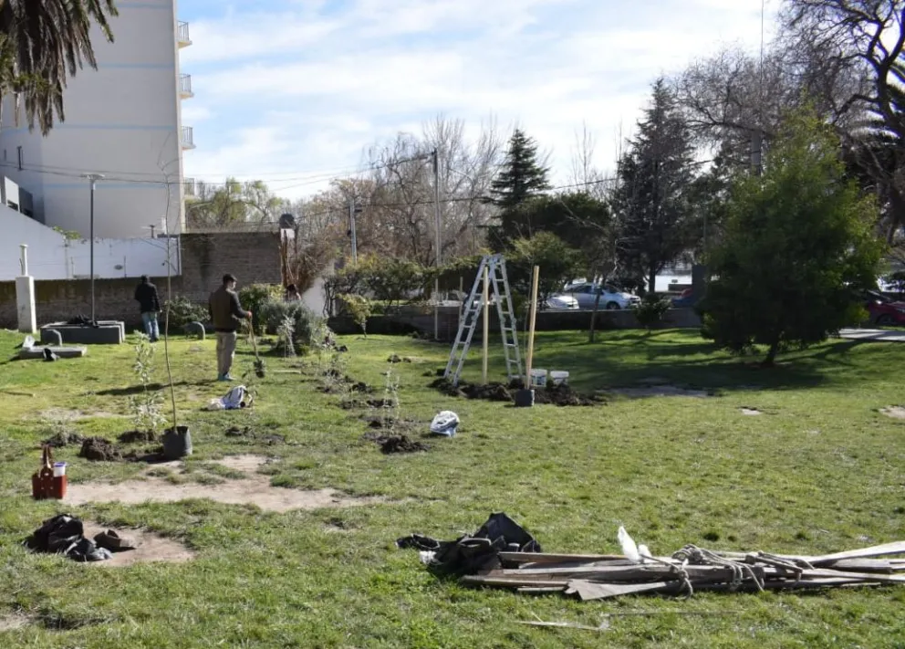 La intervención previa generó cuestionamientos entre ambientalistas y abrió una discusión sobre el cuidado del histórico espacio verde. Fotos: Vanesa Schwemmler.