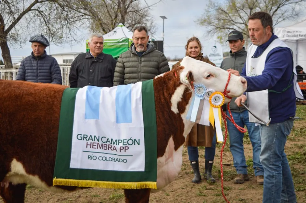 Pablo Castillo, presidente de la Sociedad Rural de Río Colorado, destacó todo el color en la exposición que abrió el circuito de primavera. Fotos Emanuel Mirenghi para NoticiasNet. 