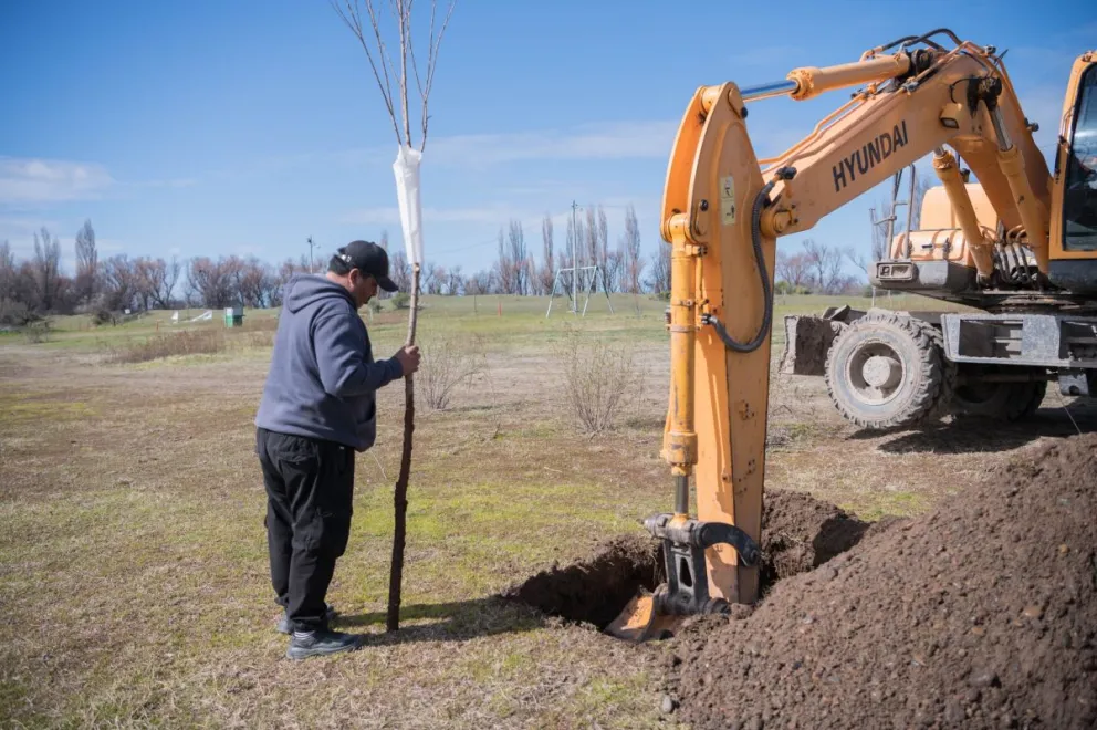 El trabajo llevado adelante fue en Viedma, San Javier y Fernández Oro y Choele Choel. Foto: gentileza 