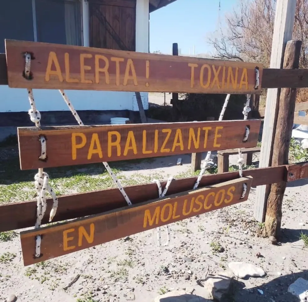Alerta por toxina paralizante en moluscos de Pozo Salado. Foto gentileza. 