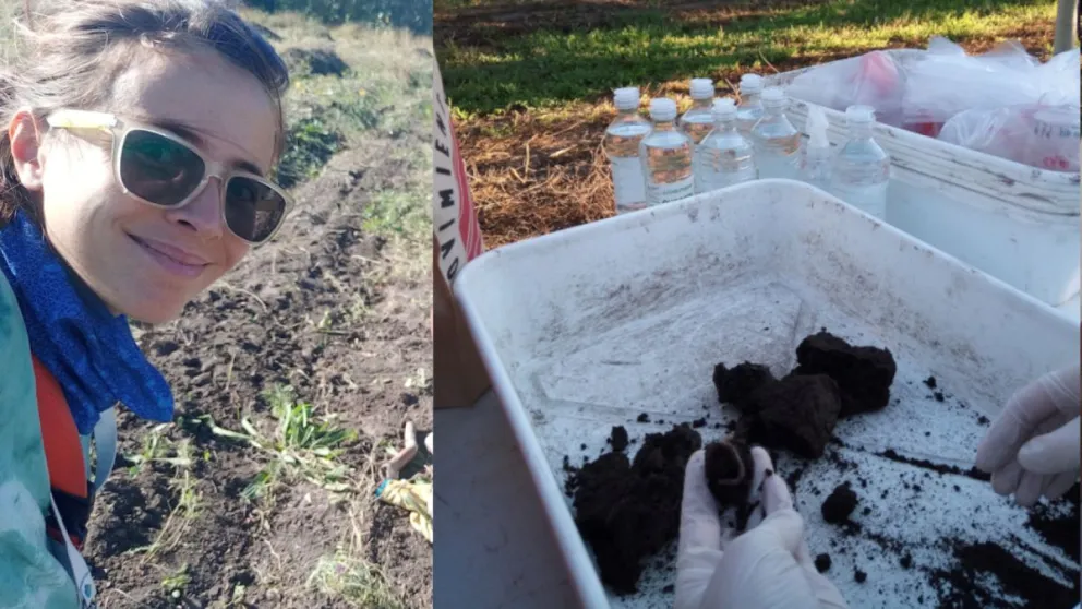  El trabajo propone reducir el laboreo, conservar coberturas vegetales y optimizar el riego para favorecer la biodiversidad y la productividad. Foto: UNRN.