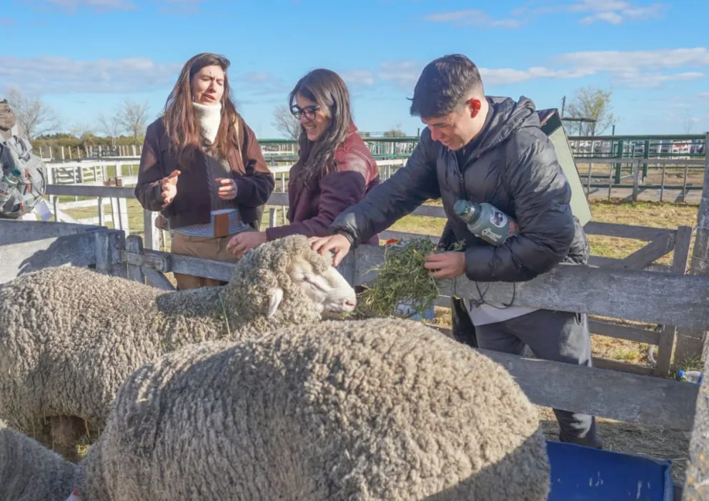 La Expo Rural de la Comarca tuvo su gran fiesta este sábado 12. Foto: Vanesa Schwemmler