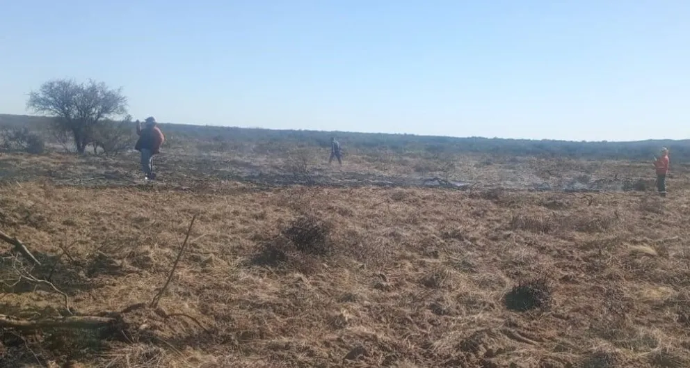 Personal de Bomberos Voluntarios de Patagones trabajaron en el lugar -fotos gentileza. 