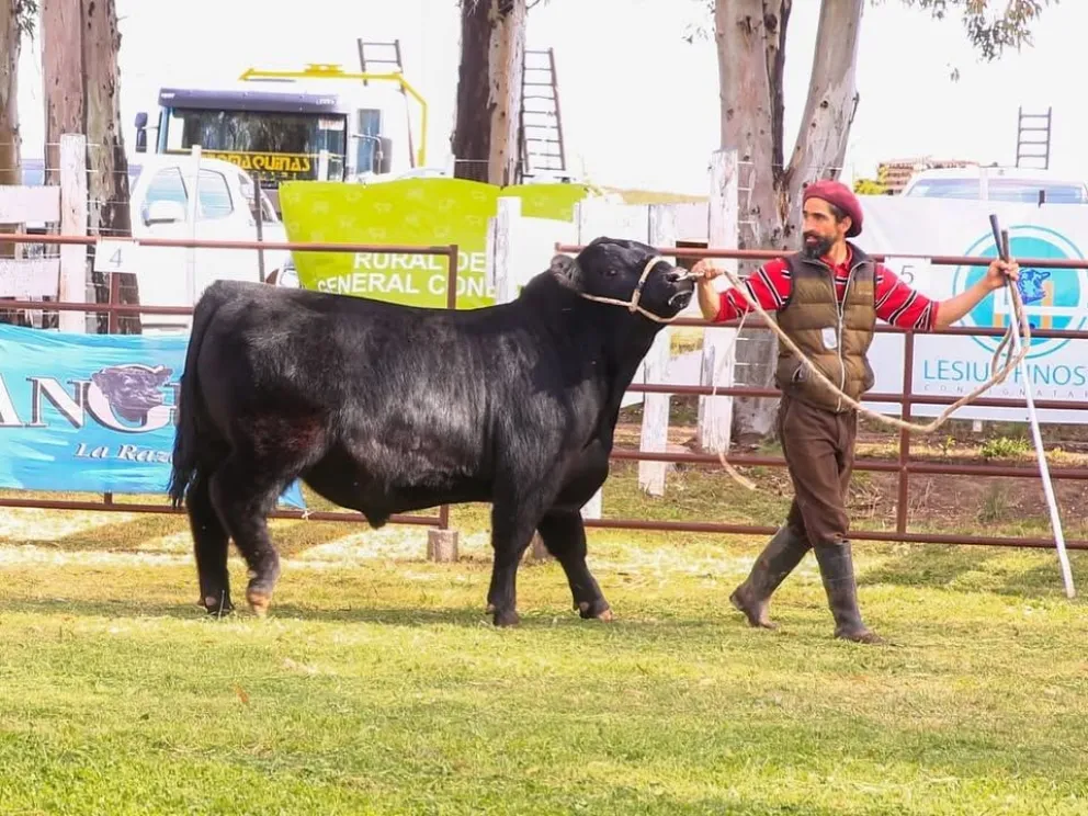 Gran expectativa por la 14° Exposición Nacional Patagónica de Hereford de este finde. Foto: Sociedad Rural General Conesa. 