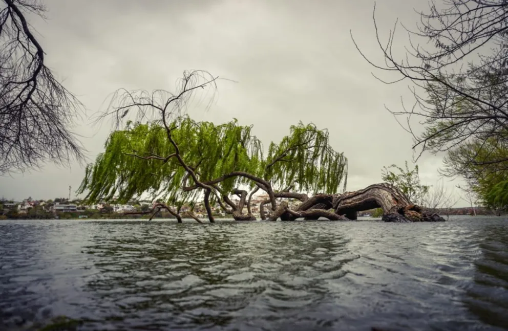 El norte de la Patagonia se prepara para nuevas precipitaciones y aumento de caudales. Fotos: Vanesa Schwemmler para NoticiasNet.