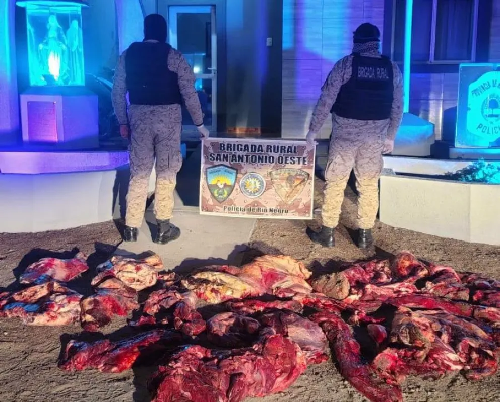 Tras constatar la infracción a la Ley Provincial N.º 2534, se procedió al decomiso total -foto gentileza.