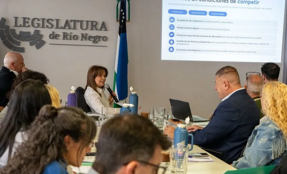 La presidenta del Ipross, Ivana Porro, le explicó a los legisladores los pormenores del proyecto. Foto: gentileza    