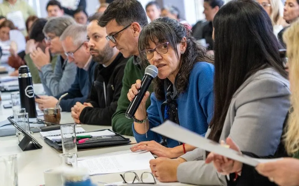 El proyecto es impulsado por la legisladora de Juntos Somos Río Negro, Maricel Cévoli. Foto: gentileza 