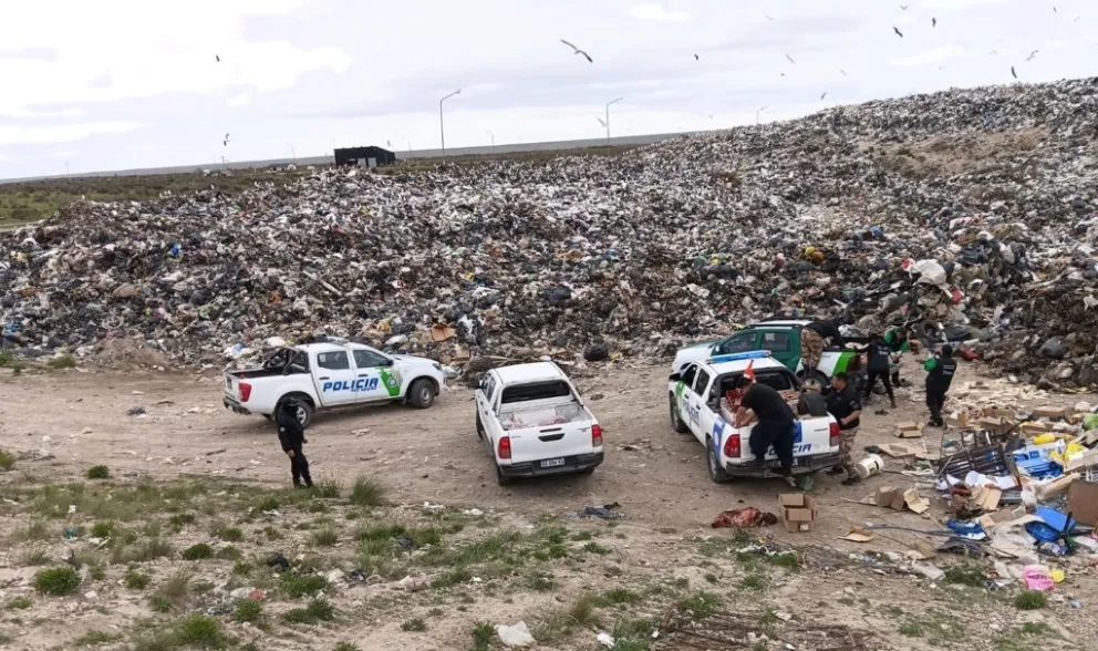 El procedimiento culminó cuando las autoridades trasladaron las bolsas al basurero municipal de la ciudad para su destrucción ante testigos. Foto Policía de Río Negro.
