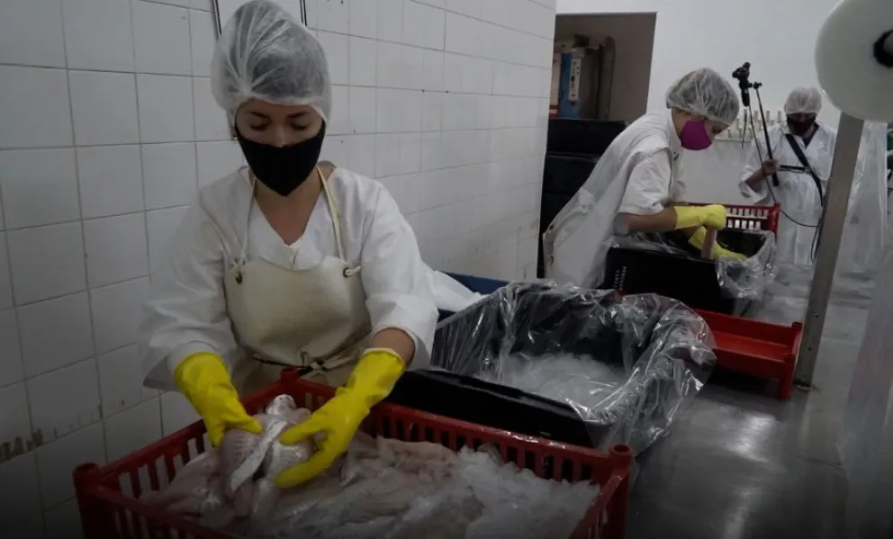 Dos entidades locales se integraron para asegurar materia prima, procesar en planta y dar previsibilidad laboral a 45 familias con el respaldo de la Provincia. Foto: Gentileza.