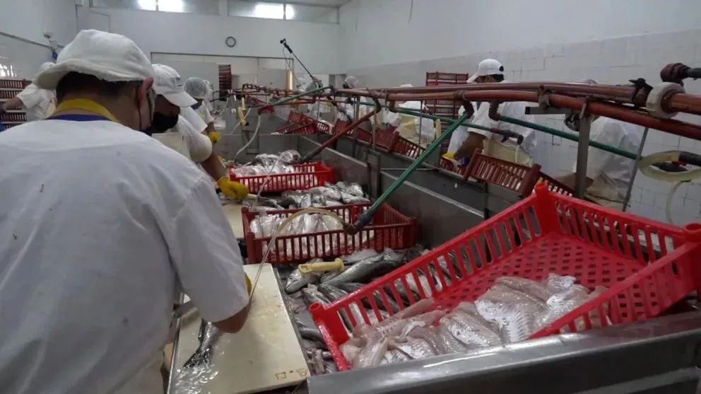   Desde la Provincia señalaron que el esquema busca sostener puestos de trabajo y ampliar la capacidad productiva del sector. Foto: Gentileza. 