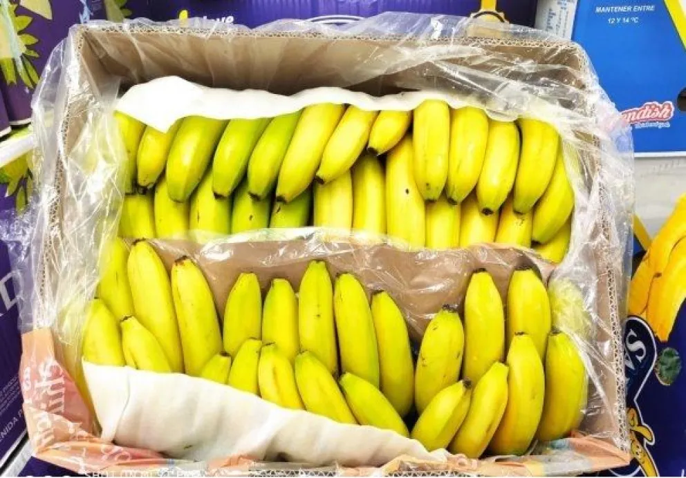 Un cajón de bananas fue lo último que se robó el acusado, que reconoció su culpa y cargo de todos los hechos. Foto Web. 