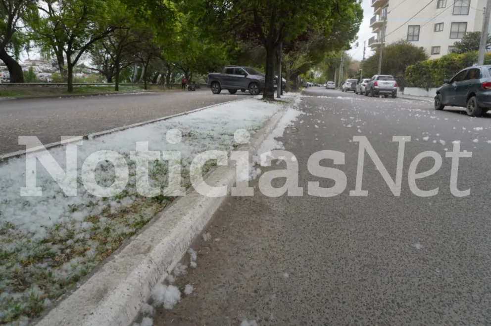 Una escena inusual se vivió esta mañana en la costanera, que llevó a que automovilistas frenaran para guardar el recuerdo. Foto: Vanesa Schwemmler.