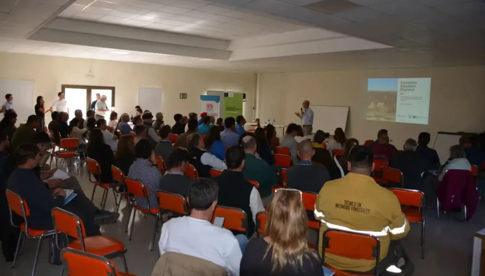 Si bien las últimas lluvias trajeron alivio al secano, la advertencia es clara: hay que prepararse hoy para la próxima crisis hídrica. Foto: Gentileza.
