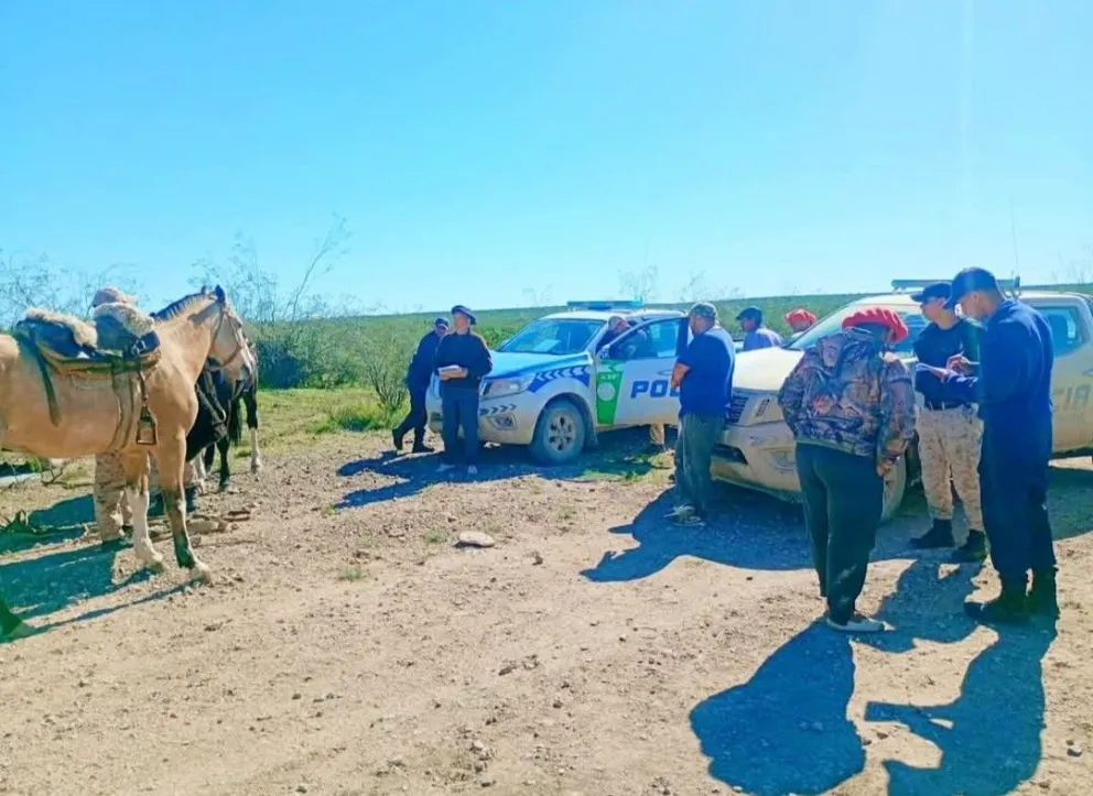 Luego de una denuncia, se hizo un allanamiento que permitió recuperar 34 vacunos. Foto: gentileza 