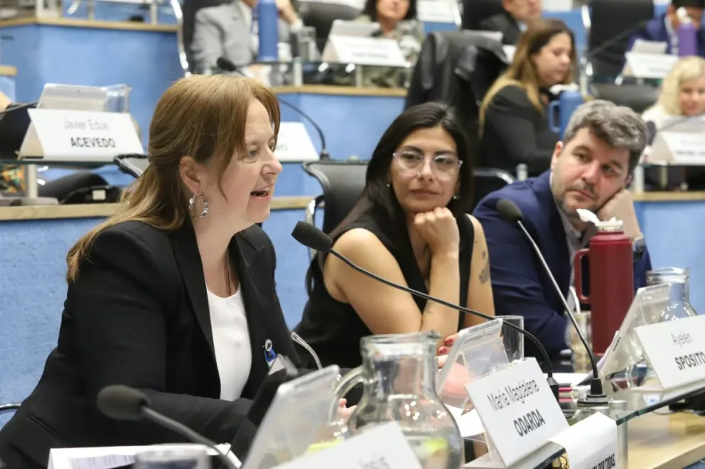 La impulsora del proyecto, Magdalena Odarda, destacó el avance del proyecto, que podría transformarse en ley en la próxima sesión. Foto: gentileza 